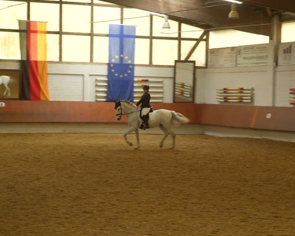 Reitturnier Bottrop 2024