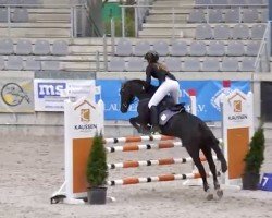 jumper Tjibbe de Peru (KWPN (Royal Dutch Sporthorse), 2007)