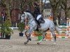 jumper Lamborghini FZ (KWPN (Royal Dutch Sporthorse), 2016, from Zirocco Blue)