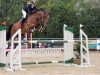 jumper Chacca 12 (German Sport Horse, 2016, from Chaccato)