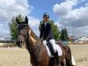 dressage horse Brucklyn (Hanoverian, 2016, from Buckingham)