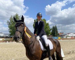 dressage horse Brucklyn (Hanoverian, 2016, from Buckingham)