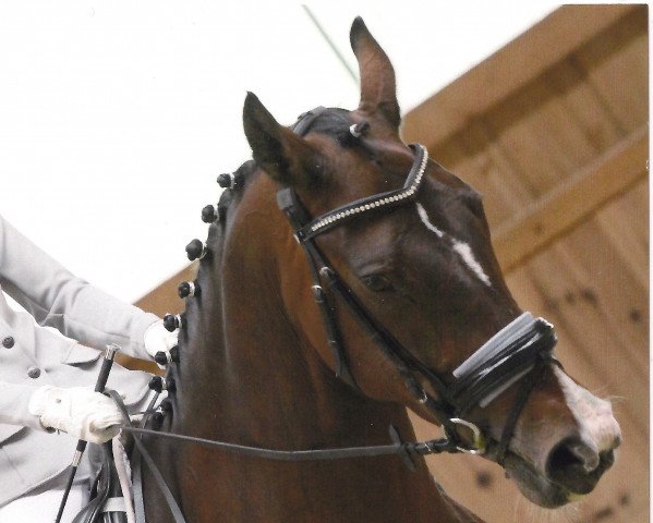 dressage horse Valadermie (KWPN (Royal Dutch Sporthorse), 2002, from Odermus R)