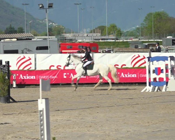 Reitturnier Giubiasco 2024