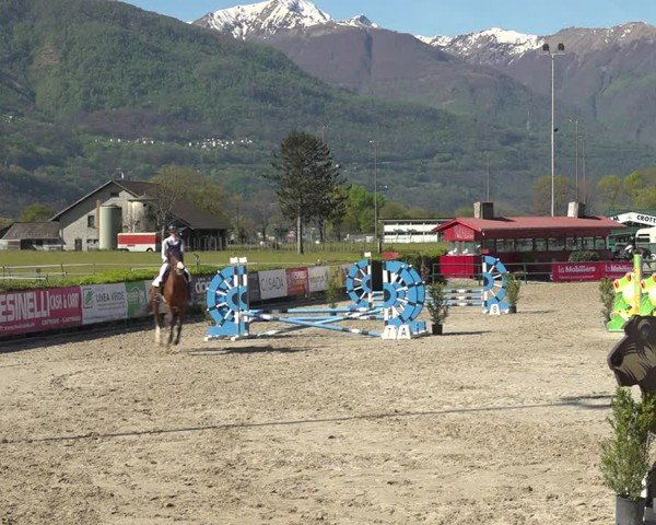 Reitturnier Giubiasco 2024