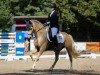 dressage horse Goldini 5 (German Riding Pony, 2013, from HET Golden Dream)