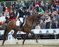 dressage horse Victoria's Secret 4 (Rhinelander, 2011, from Vitalis)