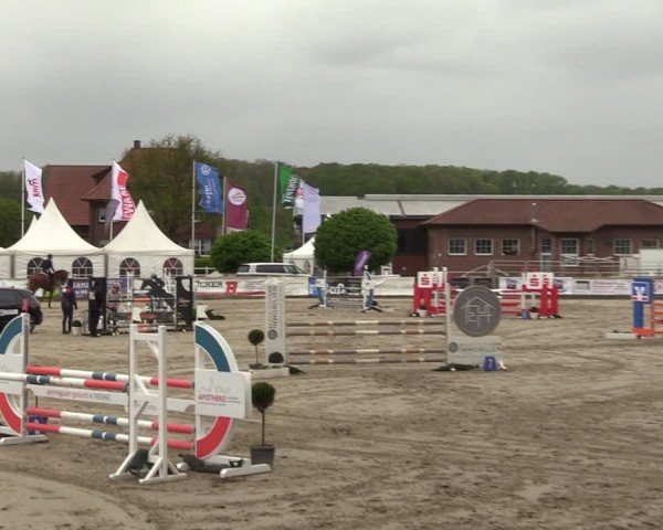 Lenklarer Reitertage Werne 2024