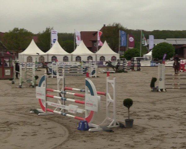 Lenklarer Reitertage Werne 2024