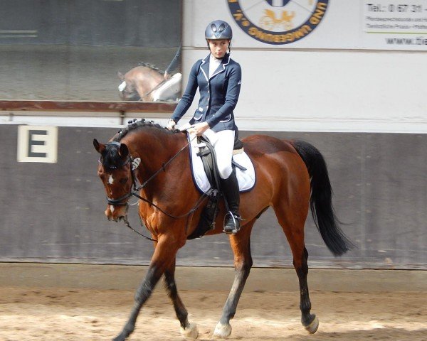 dressage horse Looping 40 (Zweibrücken, 1999, from Lucky Luke)