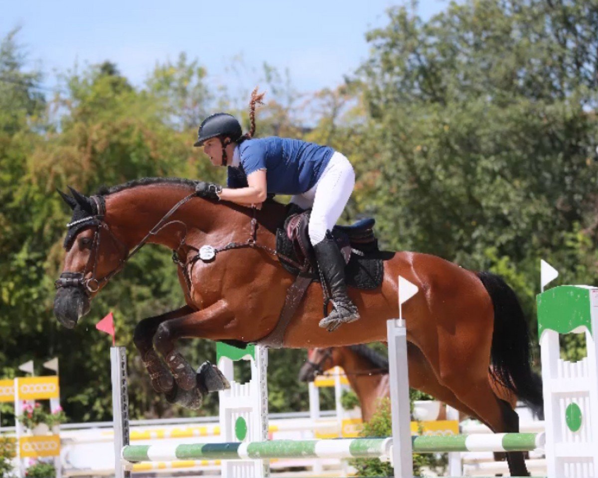 stallion Numero Due D (Bavarian, 2009, from Numero Uno)