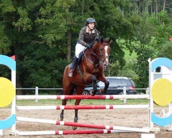 jumper Cosmopolitan (Oldenburg, 2004, from Celano)