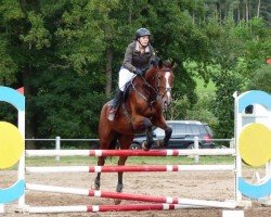 jumper Cosmopolitan (Oldenburg, 2004, from Celano)