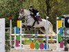 jumper Ladena B (KWPN (Royal Dutch Sporthorse), 2016, from Zirocco Blue)