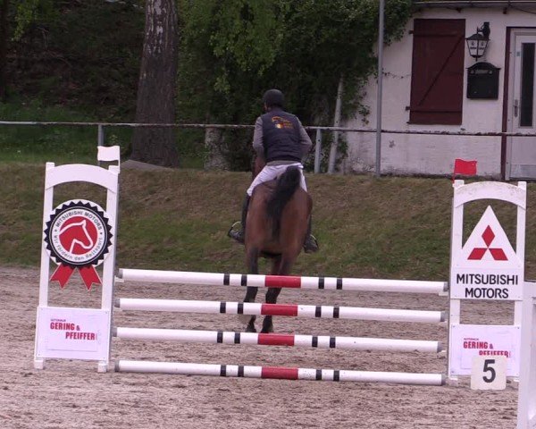 Reitturnier Lgl.-Oberhain, B95 2024