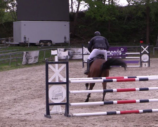 Reitturnier Lgl.-Oberhain, B95 2024