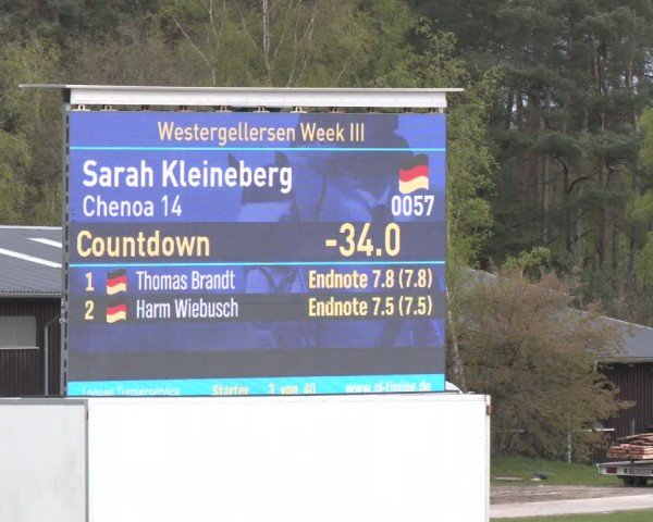 Reitturnier Westergellersen 2024