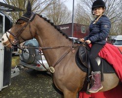 jumper Orlando 322 (Oldenburg show jumper, 2018, from Ogano Sitte)