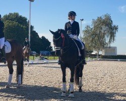 dressage horse Dolce Luna (Rhinelander, 2012, from Delamanga)