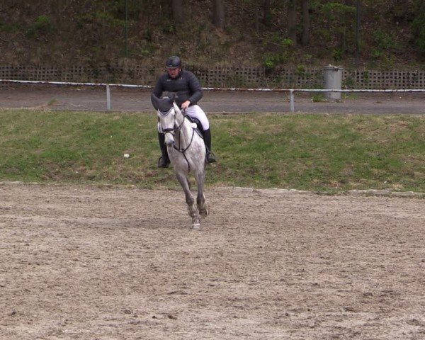 Reitturnier Lgl.-Oberhain, B95 2024