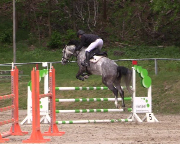 Reitturnier Lgl.-Oberhain, B95 2024