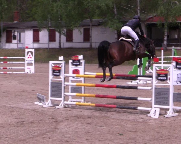 Reitturnier Lgl.-Oberhain, B95 2024