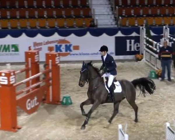 K+K Cup Münster 2012