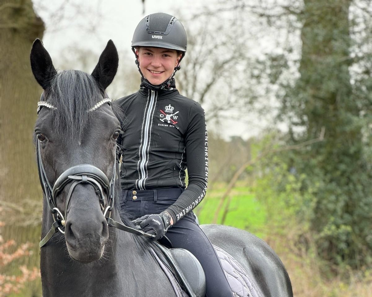 stallion Figo de Halliers (Oldenburg, 2018, from Fürstenball)