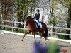 dressage horse Vintage 3 (German Sport Horse, 2016, from Veneno)