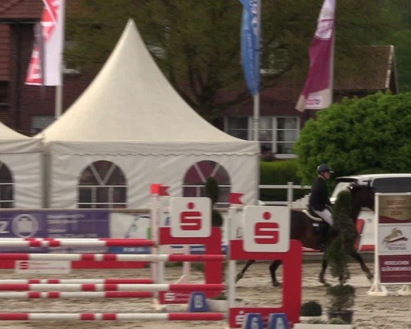 Lenklarer Reitertage Werne 2024
