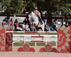 Springpferd Heartbeat BB (KWPN (Niederländisches Warmblut), 2012, von VDL Cardento 933)