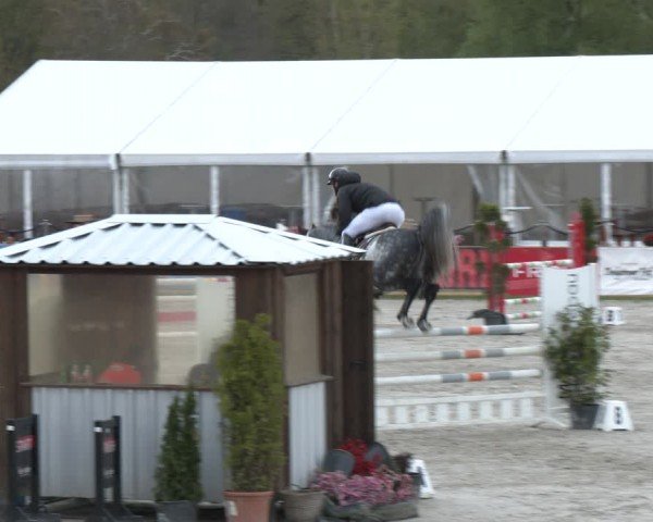 Reitturnier Westergellersen 2024