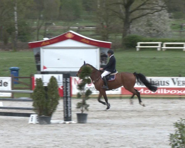 Reitturnier Westergellersen 2024