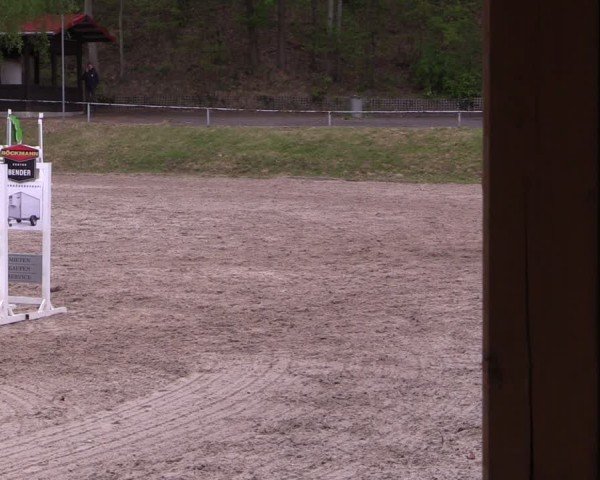 Reitturnier Lgl.-Oberhain, B95 2024
