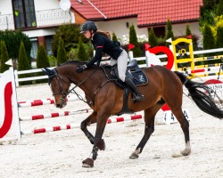 jumper La Vie 64 (Hanoverian, 2015, from Larius W)