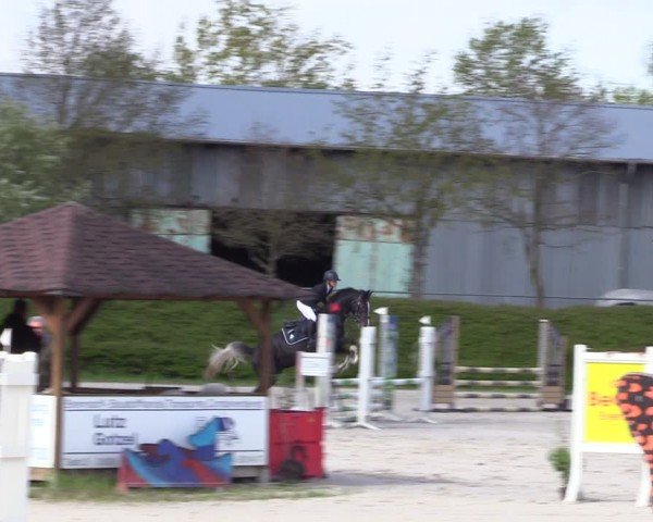 Reitturnier Pietzpuhl 2024