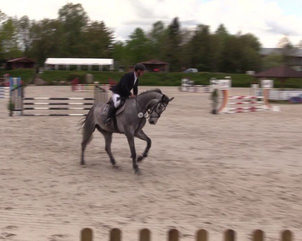 Reitturnier Pietzpuhl 2024