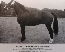 stallion Sextant 1326 (Noble Warmblood, 1971, from Sekundant 2546)