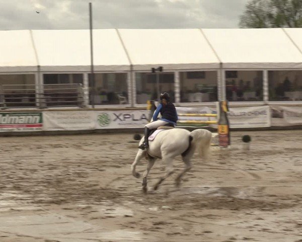 Lenklarer Reitertage Werne 2024