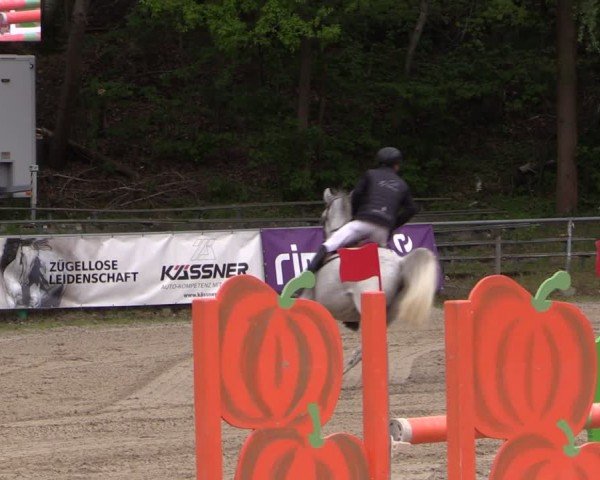 Reitturnier Lgl.-Oberhain, B95 2024