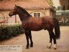 stallion Vagand Mo 1388 (Sachs-door. Heavy Warmbl., 1978, from Vasall Mo 1283)