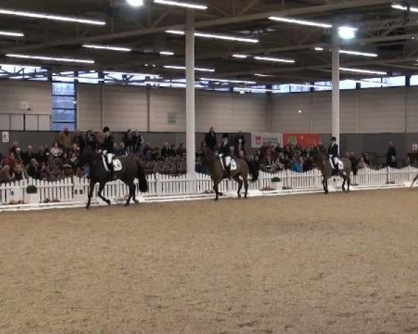 K+K Cup Münster 2012