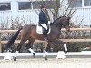 dressage horse Fürstensilber II (Oldenburg, 2021, from Fürstenball)