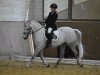 dressage horse Tender 14 (KWPN (Royal Dutch Sporthorse), 2004)