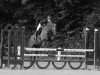 jumper Easy Master V (Hanoverian, 2007, from Espri)