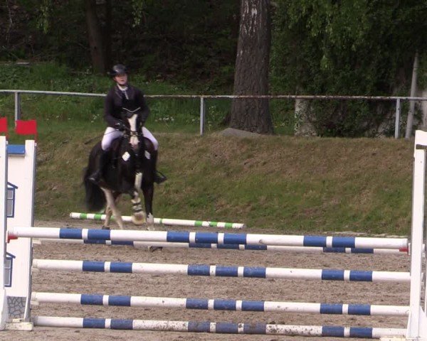 Reitturnier Lgl.-Oberhain, B95 2024