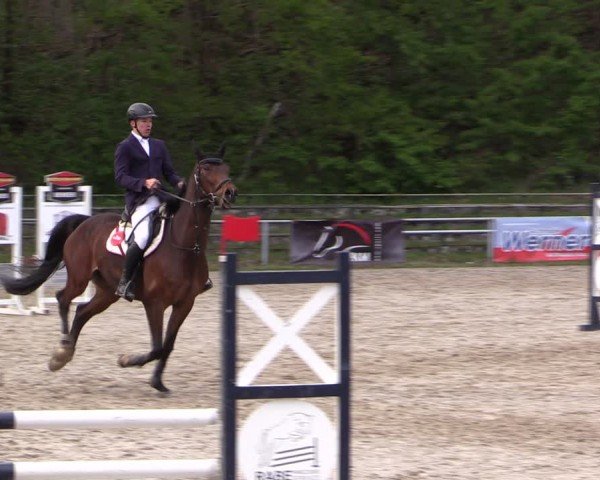 Reitturnier Lgl.-Oberhain, B95 2024