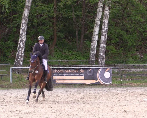 Reitturnier Lgl.-Oberhain, B95 2024