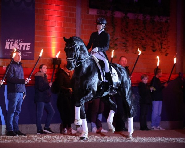stallion Kjento (KWPN (Royal Dutch Sporthorse), 2015, from Negro)