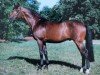 stallion Liberator (Holsteiner, 1993, from Linaro)